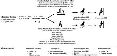 The Acute Physiological and Perceptual Responses Between Bodyweight and Treadmill Running High-Intensity Interval Exercises